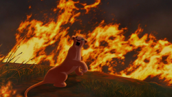 Lion-king2-disneyscreencaps