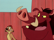 AB Timon & Pumbaa6