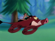 HTBTHCR Timon & Pumbaa31