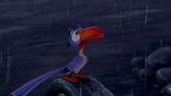 Zazu witnesses Simba's coronation.