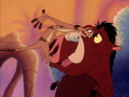 NE Timon & Pumbaa23