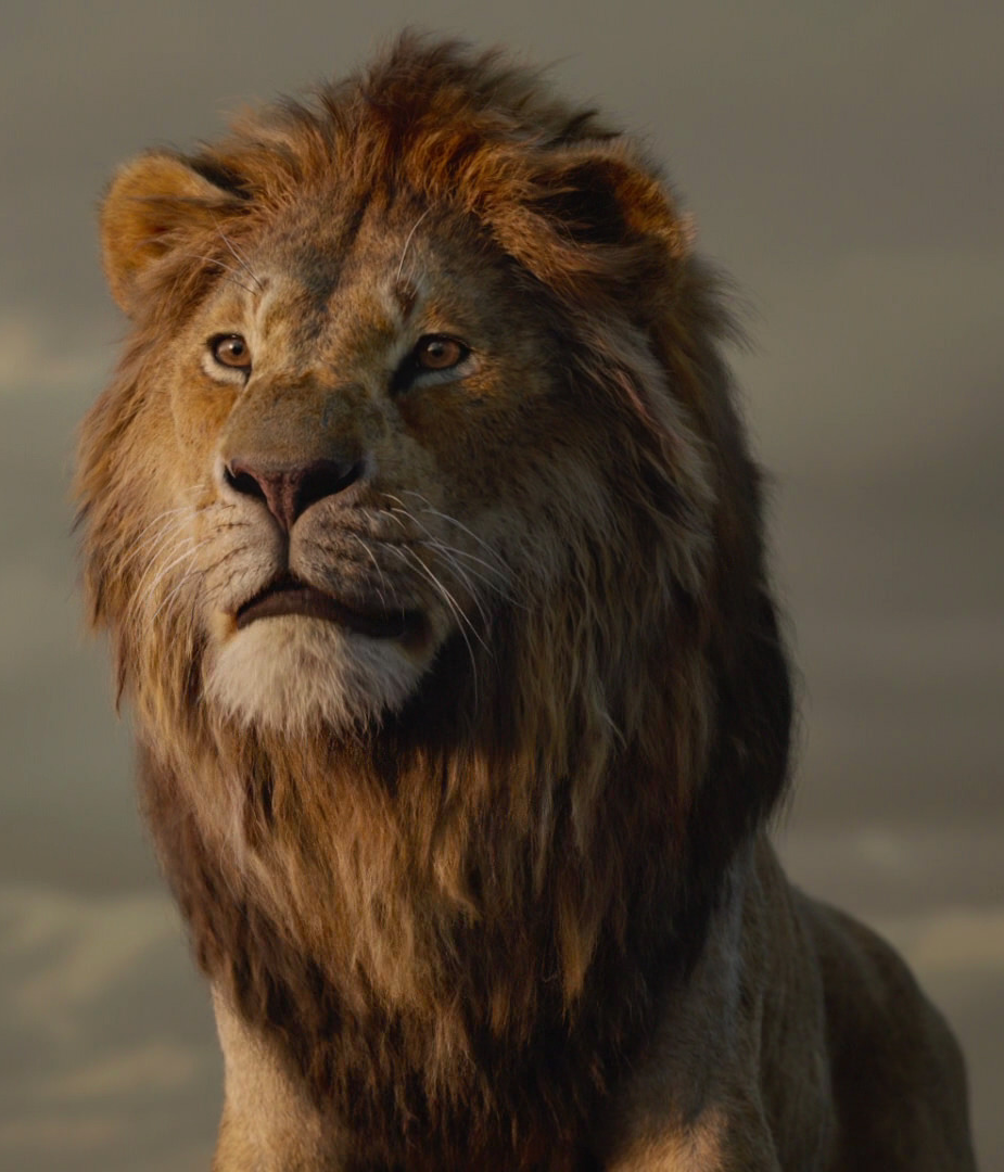 Simba 19 Film The Lion King Wiki Fandom