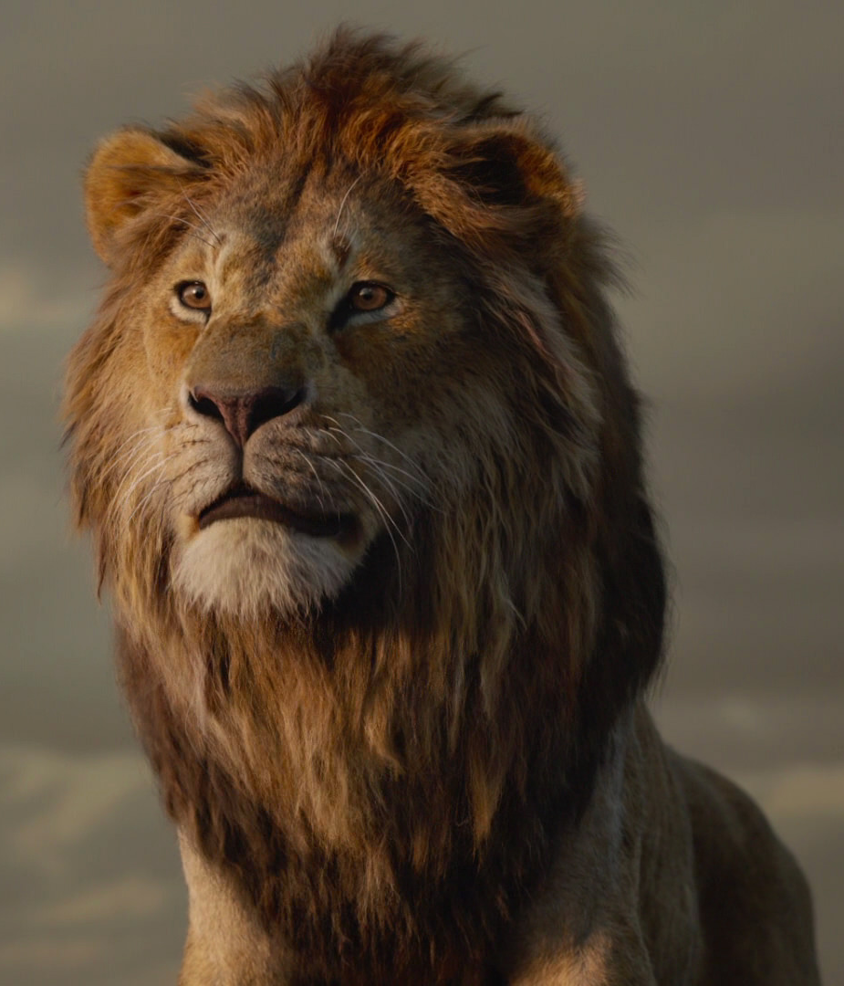 Simba Roars!, The Lion King Wiki