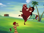 W Timon & Pumbaa10