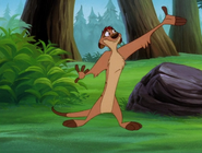 YR Timon2