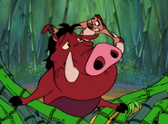 DBTC Timon & Pumbaa7