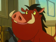 GO Pumbaa9