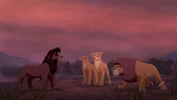 Simba reluctantly allows Kovu to join his pride.