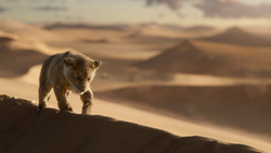 Lionking2019-animationscreencaps