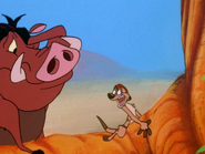 MB Timon & Pumbaa46