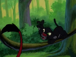 The panther cub likes to play with Pumbaa's tail.
