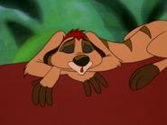 CJ Timon