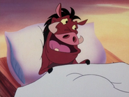 HTBTHCR Pumbaa2