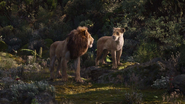 Lionking2019-animationscreencaps.com-9705