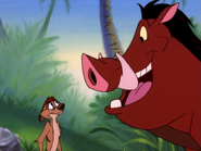 S&S Timon & Pumbaa26