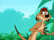 SHO Timon20