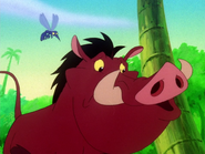 CS Pumbaa & mosquito