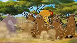 The Lion Guard collides with a herd of elands.