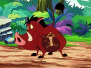 KBMF Pumbaa & Monti