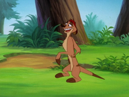 YR Timon