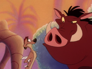 NE Timon & Pumbaa20