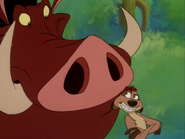 NE Timon & Pumbaa7