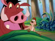 SC Timon & Pumbaa23