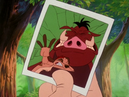 TOZ Timon & Pumbaa28