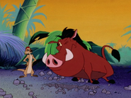 RITJ Timon & Pumbaa6