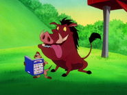 MT Timon Pumbaa & grubs