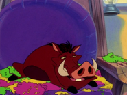 YC Pumbaa11