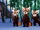 Red pandas/Gallery