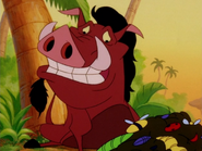 HEFY Pumbaa & grubs3