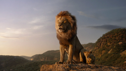 Lionking2019-animationscreencaps