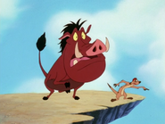 TKB Timon & Pumbaa16