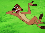 JWYTYCIA Timon