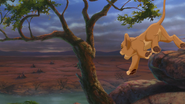 Lion-king2-disneyscreencaps.com-1080
