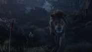 Lionking2019-animationscreencaps.com-9889