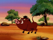 DOA Pumbaa12