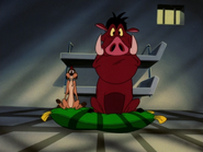 EFN Timon & Pumbaa15