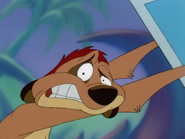 FFFF Timon2