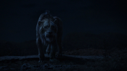 Lionking2019-animationscreencaps.com-7694