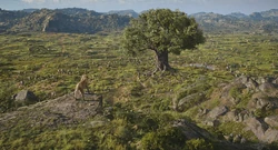 Mufasa-animationscreencaps.com-12518