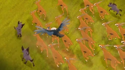 Janja's clan attacks a herd of gazelles.