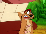 TFTZ Timon & Pumbaa10