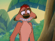 TZ Timon7