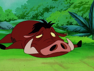 UIL Pumbaa14