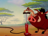 COLT Timon & Pumbaa20