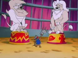 Schnitzel performs alongside Heimlich.