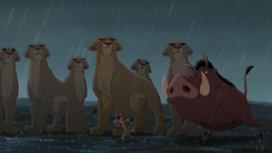 Timon and Pumbaa join Simba's pride in battle against the Outsiders.